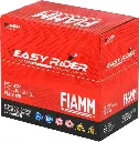 Batería Moto Fiamm Agm Ftx12 Suzuki Kawasaki Bmw Ktm